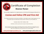 FirstAidCPRCertification2023 pdf 150x116 1