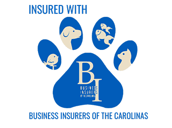 Business Insurers of the Carolinas Logo