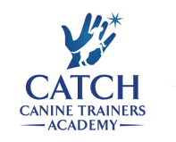 Catch Dog Training Academy