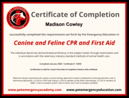 PetCprCertificationMadisonCowley PetCprCertificationMadisonCowley